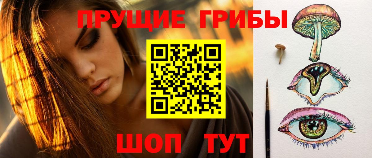Псилоцибиновые грибы ЛСД Россия