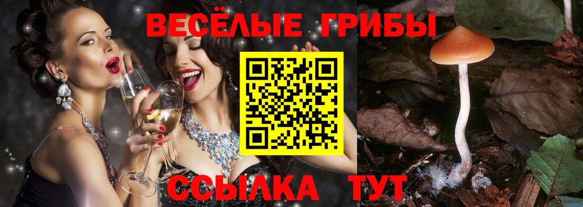 Псилоцибиновые грибы мухоморы Россия